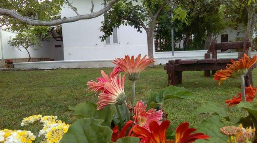 Borgo Fiore Country House Salice Salentino Ngoại thất bức ảnh