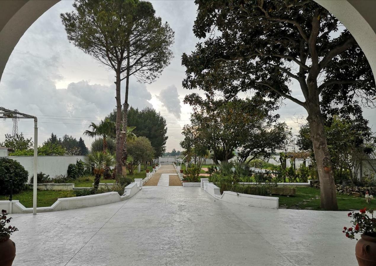 Borgo Fiore Country House Salice Salentino Ngoại thất bức ảnh
